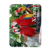 Scarlet Macaws Magnet Magneet (Verticaal)