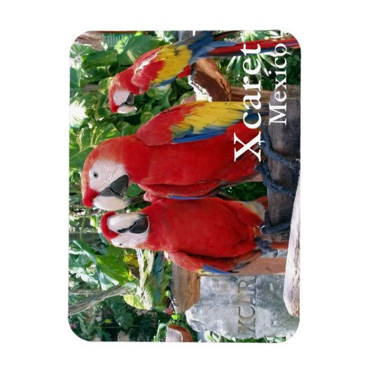 Scarlet Macaws Magnet Magneet (Verticaal)