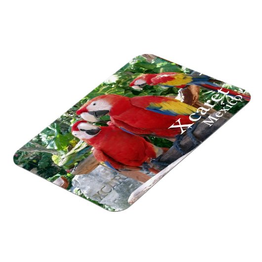 Scarlet Macaws Magnet Magneet (Linkerzijde)