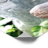 Scarlet Macaws Poster (Hoek)