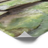 Scarlet Macaws Poster (Hoek)