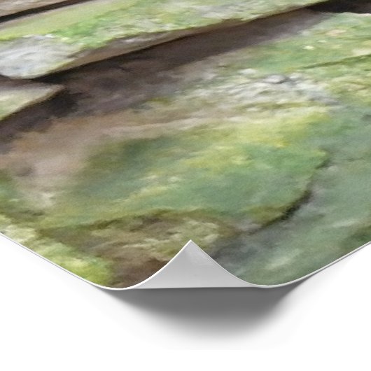 Scarlet Macaws Poster (Hoek)