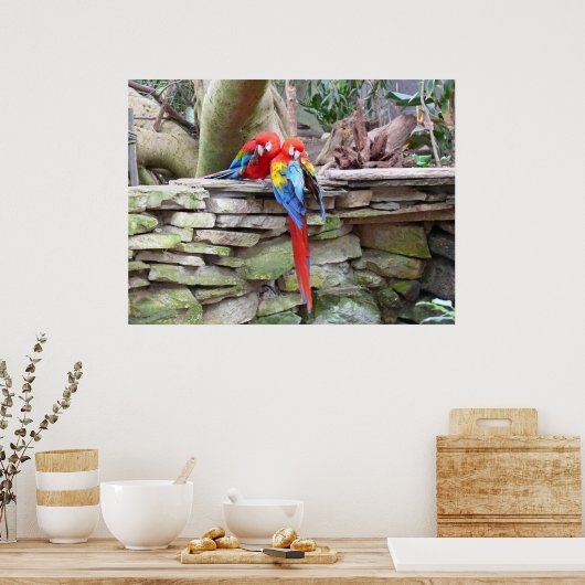 Scarlet Macaws Poster (Keuken)