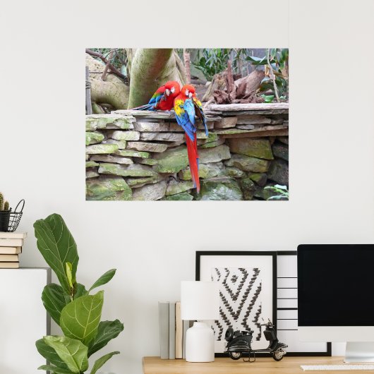 Scarlet Macaws Poster (Thuiskantoor)