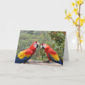 Scarlet Mackaws Kaart (Gele Bloem)