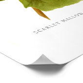 Scarlet Mallow (Hibiscus) Poster (Hoek)