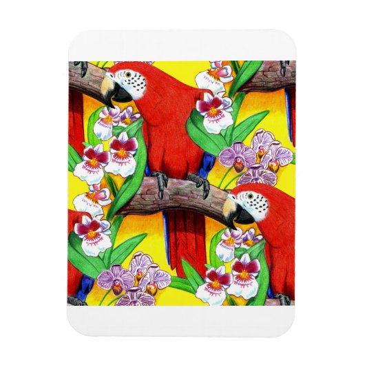 Scarlet McCaw Magneet (Verticaal)