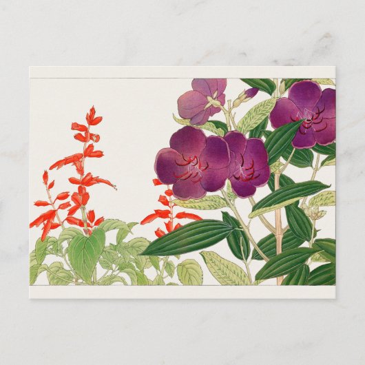 Scarlet, Melastoma van Tanigami Konan Briefkaart (Voorkant)