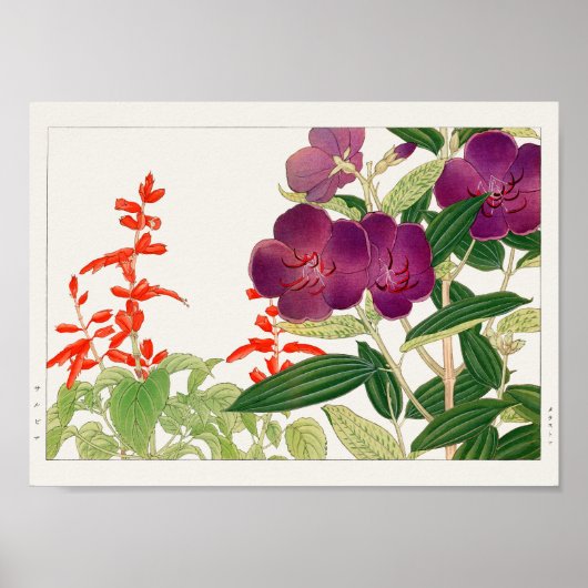 Scarlet, Melastoma van Tanigami Konan Poster (Voorkant)