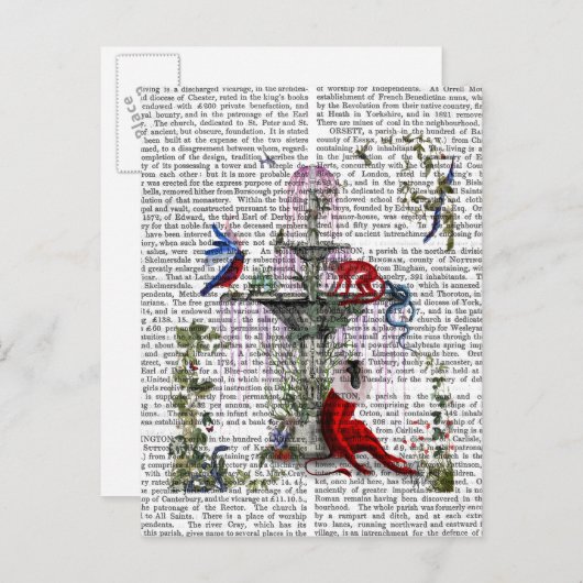 Scarlet Monkey 2 Briefkaart (Voorkant / Achterkant)