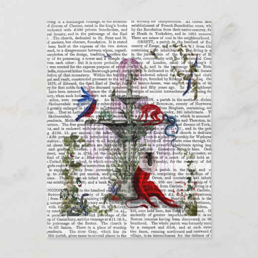 Scarlet Monkey 2 Briefkaart (Voorkant)