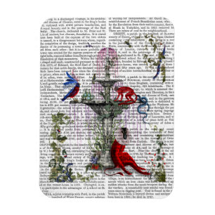 Scarlet Monkey 2 Magneet