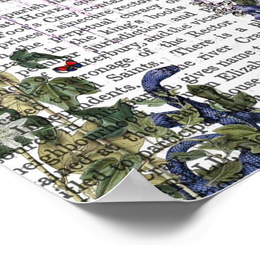 Scarlet Monkey Poster (Hoek)