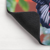 Scarlet Mormon Butterfly Muismat (Hoek)