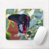 Scarlet Mormon Butterfly Muismat (Met muis)