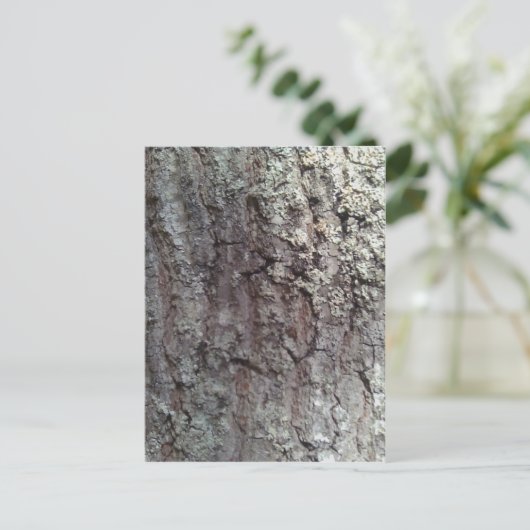 Scarlet Oak Tree Bark Briefkaart (Staand voorkant)