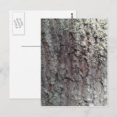 Scarlet Oak Tree Bark Briefkaart (Voorkant / Achterkant)