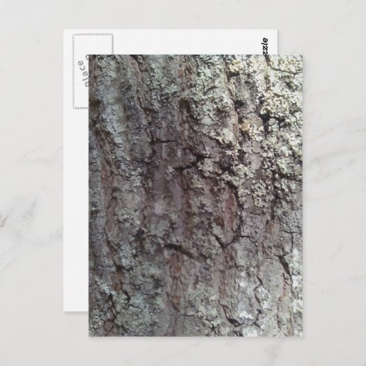 Scarlet Oak Tree Bark Briefkaart (Voorkant / Achterkant)