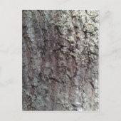 Scarlet Oak Tree Bark Briefkaart (Voorkant)