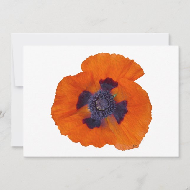Scarlet Oranje Poppy 1 (Voorkant)