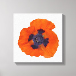 Scarlet Oranje Poppy 1 Canvas Afdruk