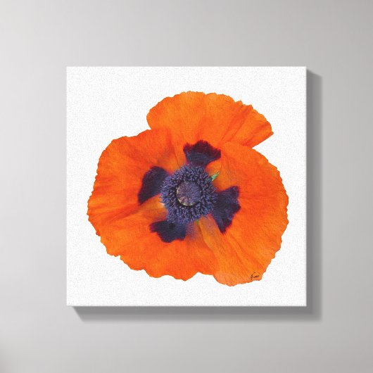 Scarlet Oranje Poppy 1 Canvas Afdruk (Voorkant)