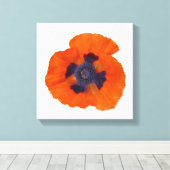 Scarlet Oranje Poppy 1 Canvas Afdruk (Insitu (Houten vloer))