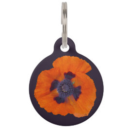 Scarlet Oranje Poppy 1 Huisdierpenning