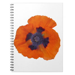 Scarlet Oranje Poppy 1 Notitieboek