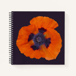 Scarlet Oranje Poppy 1 Notitieboek