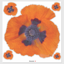 Scarlet Oranje Poppy 1 Sticker