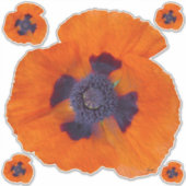Scarlet Oranje Poppy 1 Sticker (Voorkant)