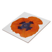 Scarlet Oranje Poppy 1 Tegeltje (Zijkant)