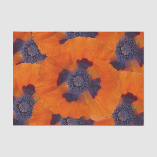 Scarlet Oranje Poppy 1 Tissuepapier (Voorkant)