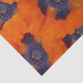 Scarlet Oranje Poppy 1 Tissuepapier (Detail)