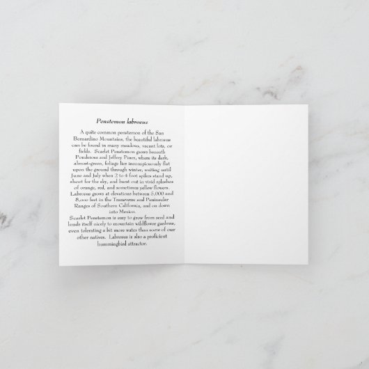 Scarlet Penstemon - Native Notecard Kaart (Binnen)