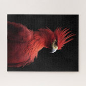 Scarlet Phoenix is er trots op Legpuzzel (Horizontaal)