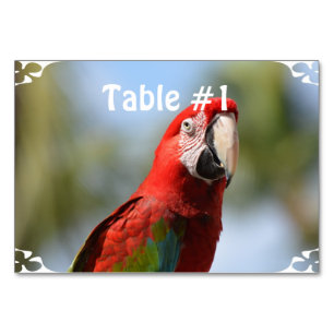 Scarlet Red Macaw Kaart