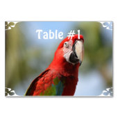 Scarlet Red Macaw Kaart (Voorkant)