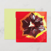 Scarlet Red Tulip flatcard (Voorkant / Achterkant)
