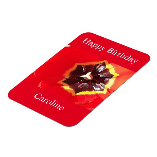 Scarlet Red Tulip Magneet (Linkerzijde)