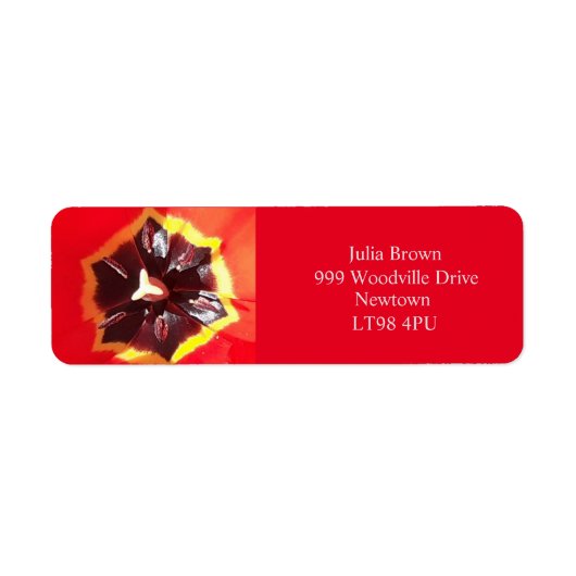 Scarlet Red Tulip Return Address Labels (Voorkant)