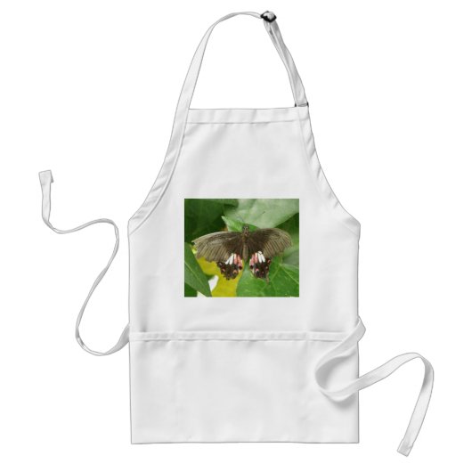 Scarlet Swallowtail Butterfly Apron Standaard Schort (Voorkant)