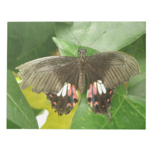 Scarlet Swallowtail Butterfly-laptop Notitieblok