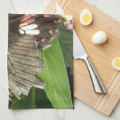 Scarlet Swallowtail Butterfly Macro Kitchen Towel Theedoek (Quarter Fold)