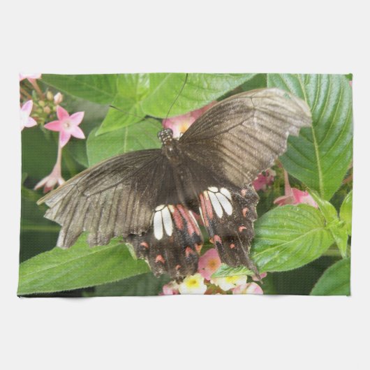 Scarlet Swallowtail Butterfly Macro Kitchen Towel Theedoek (Horizontaal)