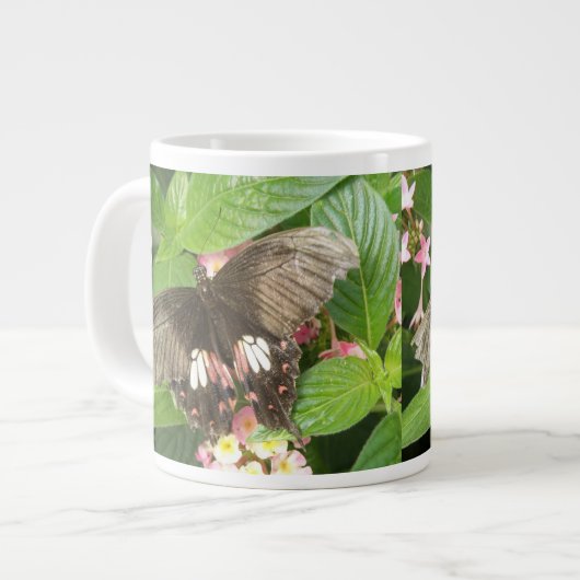 Scarlet Swallowtail Butterfly Macro Mok (Links)