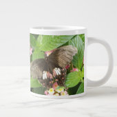 Scarlet Swallowtail Butterfly Macro Mok (Rechts)