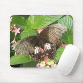 Scarlet Swallowtail Butterfly Macro Mousepad Muismat (Met muis)