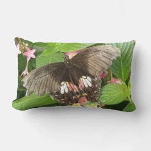 Scarlet Swallowtail Butterfly Macro Pillow Kussen